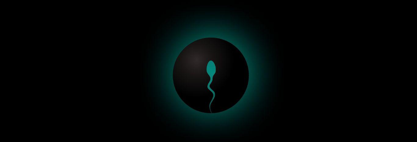Imagem para ilustrar artigo sobre embriologia
