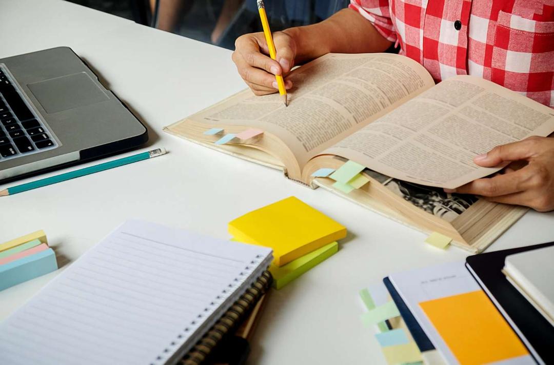 Faculdade de Economia: tudo o que você precisa saber sobre o curso